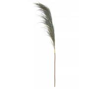 Orsina Fiori Pampas Grass Blue Stem Artificial Plant Foliage