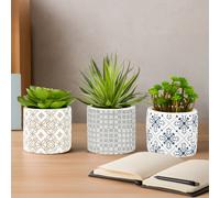 Orsina Fiori Set of 3 Succulents in Henna Ceramic Pots in Green Orsina Green
