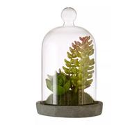 Orsina Fiori Small Succulent Dome with Cement Base in Grey Orsina Grey
