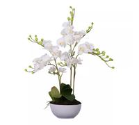 Orsina Fiori White Orchid Plant Artificial Plant Foliage