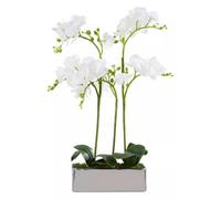 Orsina Fiori White Orchid Plant In Rectangular Pot Artificial Plant Foliage