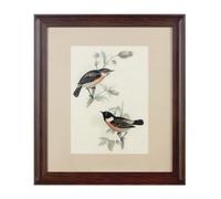 Framed Birds 2 Wall Art Home Wall Décor Premier Housewares Brown One Size