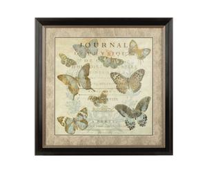 Orsina Framed Butterfly 1 Wall Art
