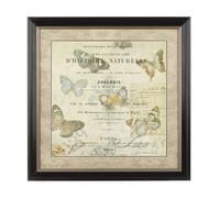 Orsina Framed Butterfly 2 Wall Art Home Wall Décor in Brown Orsina Brown