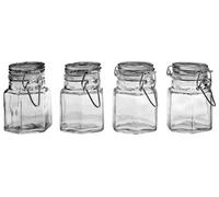 Premier Housewares Spice Jars with Clip Tops - 8 x 6 x 6 cm, Set of 4