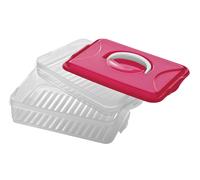 Orsina Hot Pink 2 Layer Food Container in Clear Orsina Clear