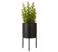 Orsina Minimalist Thyme, Versatile Thyme With Leaves And Decorative Classic Comcrete Planter For Artificial Flowers