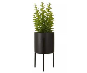 Orsina Minimalist Thyme, Versatile Thyme With Leaves And Decorative Classic Comcrete Planter For Artificial Flowers