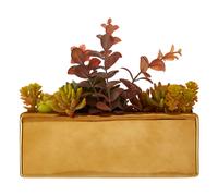 Orsina Mixed Succulents Fiori with Ceramic Gold Pot Orsina Gold