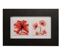 Orsina Red Poppy Glass Framed Double Wall Art