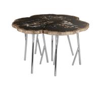 Orsina Relic Light Petrified Wood Coffee Table