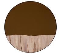 Orsina Relic Petrified Wood Tile Large Round Mirror in Gold