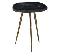 Orsina Relic Side Table With Petrified Wood Top And Brass Finish Legs