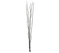 Twig Light Decoration, 80 Warm LED Lights On Black Twigs, Flexible Branches For Custom Arrangement Interiors by Premier Black One Size