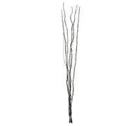 Twig Light Decoration, 80 Warm LED Lights On Black Twigs, Flexible Branches For Custom Arrangement Interiors by Premier Black One Size
