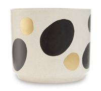 Interiors By Ph Yuri White And Gold Spotted Planter
