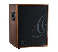 Ortega Guitars 2-Channel 100W Acoustic Guitar Combo Amp, Walnut (Cone-WND-US)