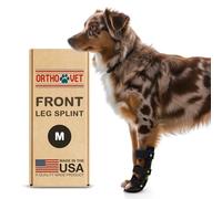 OrthoVet Standard Front Splint for Dogs with Arthritis or Injuries (M)