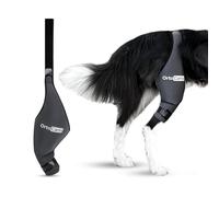 Ortocanis - Dog Knee Brace - For Right Hind Leg - Made of ARD Neoprene - For ACL Tear, Ligament Injuries, Patellar Luxation or Osteoarthritis - Size Mini (5,9-6,3 ")