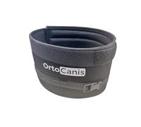 Ortocanis Isabelino Dog Collar Immobilizes the Neck and Prevents Licking Their Paws - Isabelino Cat Collar - Collar Isabelino Large Dog - Bell for Dogs - Dog Bell Size XL