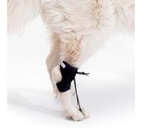 Ortocanis - Proprioceptive Support for Dog - Helps with Knuckling, Myelopathies & Spinal Conditions - Corrects Foot Posture & Prevents Injuries - Expertly Made in Barcelona - Size: XXS 5-7 cm