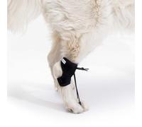 Ortocanis - Proprioceptive Support for Dog - Helps with Knuckling, Myelopathies & Spinal Conditions - Corrects Foot Posture & Prevents Injuries - Expertly Made in Barcelona - Size: M 11,5-14 cm