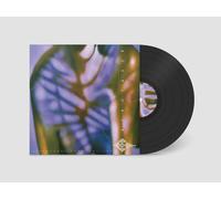 Ortrotasce Dispatches from Solitude (Vinyl) 12" Album