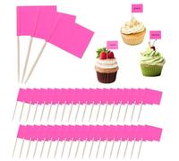 Oruola 100 Pcs Buffet Food Labels,Food Labels for Buffet,Blank Toothpick Flags,Cheese Markers,DIY Stick Flags, Charcuterie Label,Party Decoration,Cocktail Picks for Party,Bar,Sport Events(Pink)