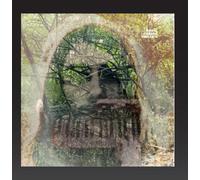 Orval Carlos Sibelius - Orval Carlos Sibelius