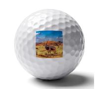 Oryx in The Red Dunes Personalized Golf Balls Distance Practice Ball for Indoor Outdoor