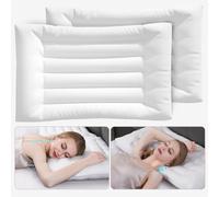 OS OMYSTYLE 2.5 Inch Ultra Thin Slim Flat Pillow, 100% Cotton Cover Flat Pillow for Stomach and Back Sleepers, Queen 2Pack
