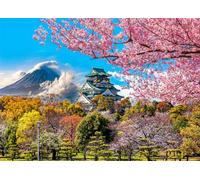 Osaka Castle Jigsaw Puzzles for Adults 1000 Piece