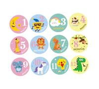 OSALADI 12pcs Stickers Self-Adhesive Photo Props for Newborn Growth Tracking and Reusable Month Markers for Cute Design for Memorable Photography