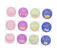 OSALADI 1set Monthly Stickers of Newborn Decals for Capturing Growth First Year and Fun Photo Props for Monthly Age