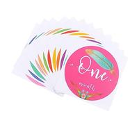 OSALADI 1set Newborn Month Sticker Beautiful Photo Stickers for First Year Growth Easy Peel Adhesive for Scrapbooking and Capturing Memories
