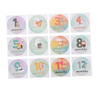 OSALADI 1set Stickers for Newborns Monthly Growth Decals Month Markers for Photography Stickers for Celebrating Each Month
