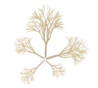 OSALADI 20PCS Miniature Model Trees for DIY Train Scenery Realistic Mixed Architectural Landscape Figurines Sand Table Model Supplies for Creative Crafting and Zen Garden Decor