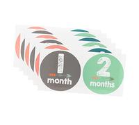 OSALADI 24pcs Newborn Milestone Decals Stickers Photo Background Props for Shower Decorations Boy Girl Milestone Sticker for First Year Photoshoot