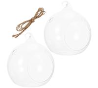 OSALADI 2pcs Glass Globe Hanging Terrarium Planters with Large Opening for Air Plants and Succulents, Creative and Natural Style Indoor Space or Garden Display