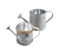 OSALADI 2pcs Rustic Metal Watering Can Set with Iron Finish and Jute Rope, Vintage Style Watering Kettle for Indoor Plants and Garden Use, Decorative Desktop Flower Vase