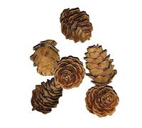 OSALADI 50 Pcs Artificial Pine Cones Dried Pine Cone Photo Props for Holiday Decor Decoration Set for Boys and Girls Christmas Photo Accessories