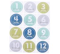 OSALADI Baby Milestone Sticker Set Celebrate Newborn's Monthly Milestones (1-12 Months) Photo Keepsake for Boys Girls