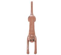 OSALADI Cat Shaped for Itching Relief Plastic with Long Handle Back Scratcher, Portable Massage Tool, Designed Not to Hurt Your Back for Adults, for Disabled Parents and Pregnant Women