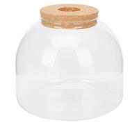 OSALADI Microlandscape Eco Bottle with Cork Stopper, Glass Terrarium Container for DIY Miniature Moss Plants, Creative Desktop Greenery Decoration for Indoor Gardening and Office