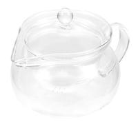 OSALADI Multi-Function Glass Tea Pot 500ml Heat and Cold Resistant Small Tea Kettle with Infuser for Office and Home Use, Elegant and Modern Design with Pleased Shape