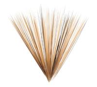 OSALADI Realistic Black and Brown Mixed 0.2mm Pet Craft Whiskers for Making, Needle Felting Animal Whiskers Accessories for Cat Dolls and DIY Felted, Approx 250 Pieces per Bottle