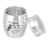 OSALADI Silver Stainless Steel Parrot Cremation Urn Lightweight Memorial Keepsake Box Not Easy to Fading Minimalist Tank for Pet Ashes