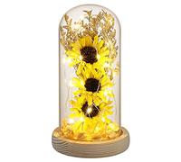 OSALADI Sunflower Decorative Light with Led Fairy String Lights in Glass Dome 8.7 Inch Table Lamp for Home Office Wedding Party Romantic Ambiance