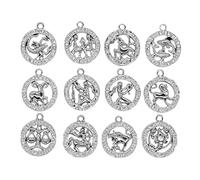OSALADI Zodiac Pendant Jewelry Making Accessories 12pcs Silver Round Alloy DIY Handmade Charms for Bracelet Necklace