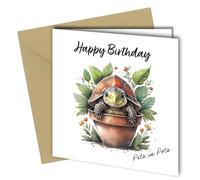 Oscar Finks Pets in Pots Greeting Cards Assortment, 12 Funny Designs, 400g White Card, Puppy, Kitten, Hedgehogs and More (Tortoise)